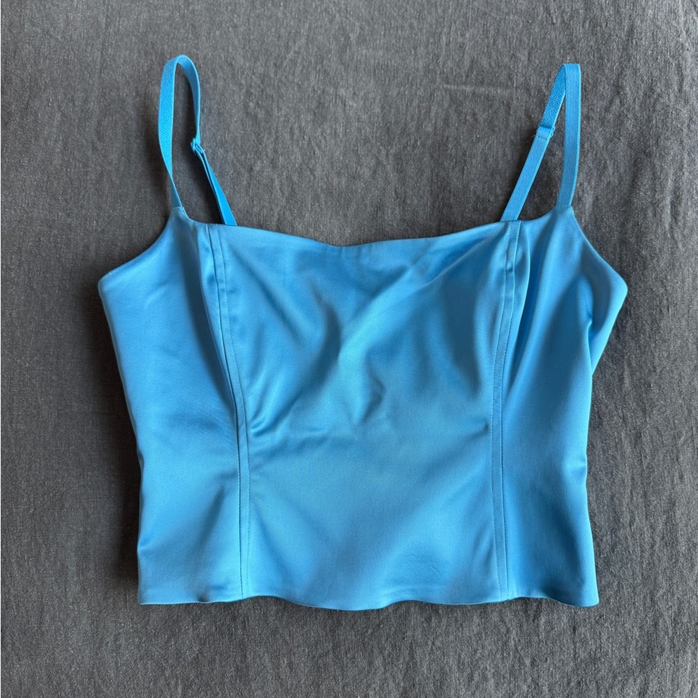 Aritzia satin blue corset top